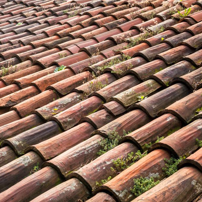 Mah na strehi opozarja na prisotnost večje količine vlage.  | Foto: Envato