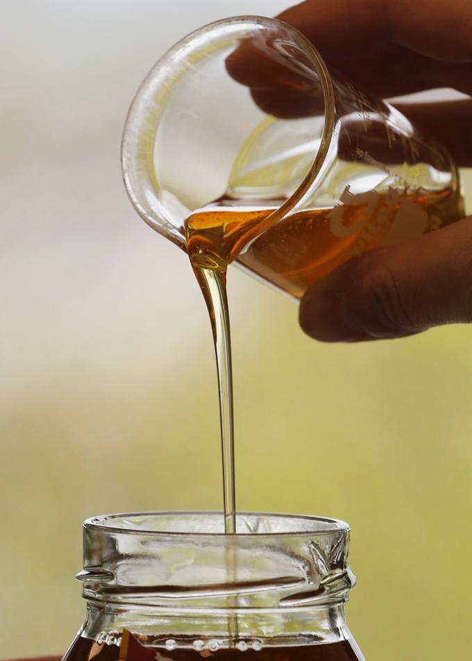 Slovenski čebelarji so lani pridelali 1.746 ton medu. | Foto: Getty Images