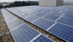 Z največjo sončno elektrarno v Sloveniji elektrike za 800 gospodinjstev