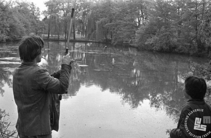 Ribiči ob Tivolskem ribniku leta 1978  | Foto: Svetozar Busić, hrani Muzej novejše zgodovine Slovenije
