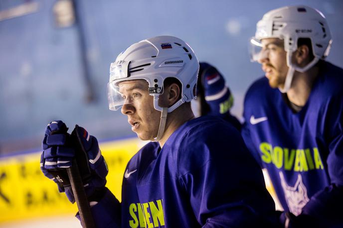 slovenska hokejska reprezentanca trening  SP Pariz | Foto Vid Ponikvar