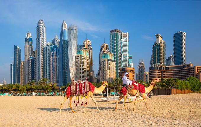 Izlet s kamelami po puščavi je le ena izmed možnih dejavnosti v sončnem in razkošnem Dubaju. | Foto: Shutterstock