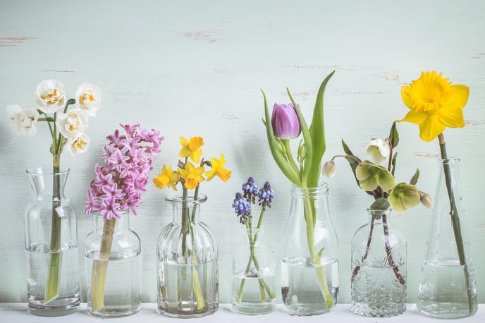 pomlad | Foto Getty Images