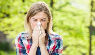 Začela se je sezona alergenega cvetnega prahu