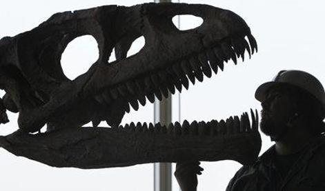 V Južni Koreji odkrili največje sledi ugrizov dinozavra