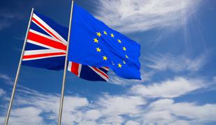 EU vztraja pri irskem varovalu in trdi, da alternativnih predlogov ni #video