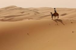 Street View je med sipinami postal – Camel View!