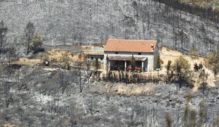 Gozdni požari v Španiji terjali smrtno žrtev