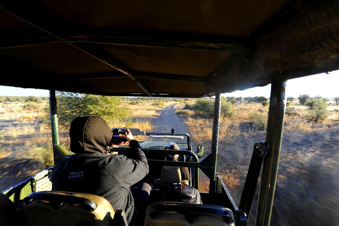 Vozniki po velikih narodnih parkih v Afriki in Aziji vedo, kako ravnati v primeru bližnjega srečanja z največjimi. Predvidevanje in spoštovanje sta ključna. | Foto: Jure Gregorčič