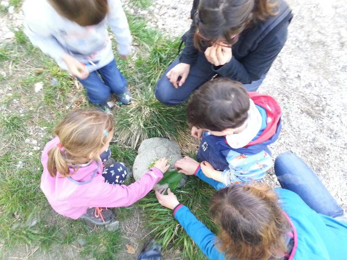 Na Gozdnih počitnicah bodo otroci spoznavali zakonitosti gozda in narave. | Foto: 