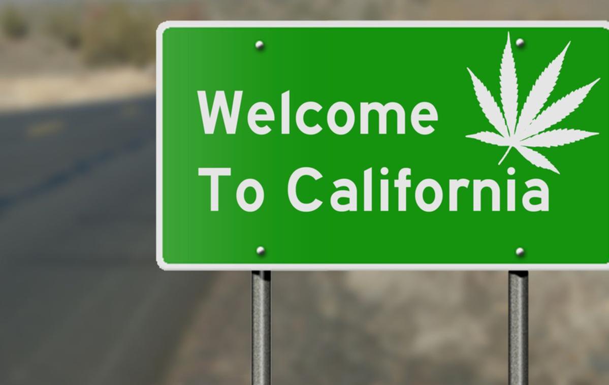 Kanabis Fortrade | Od januarja 2018 je v Kaliforniji dovoljena uporaba marihuane v rekreativne namene.