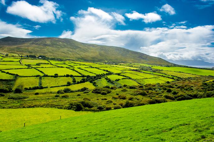 Irska, podeželje, kmetijstvo, poljedelstvo | Irska | Foto Thinkstock