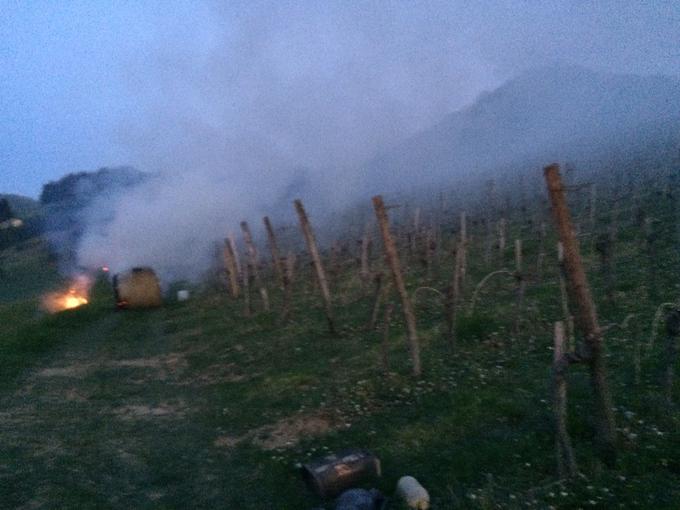 Z dimom se prepreči vdor hladnega zraka v vinograd, ogenj sam po sebi ni dovolj. | Foto: Simon Bohm