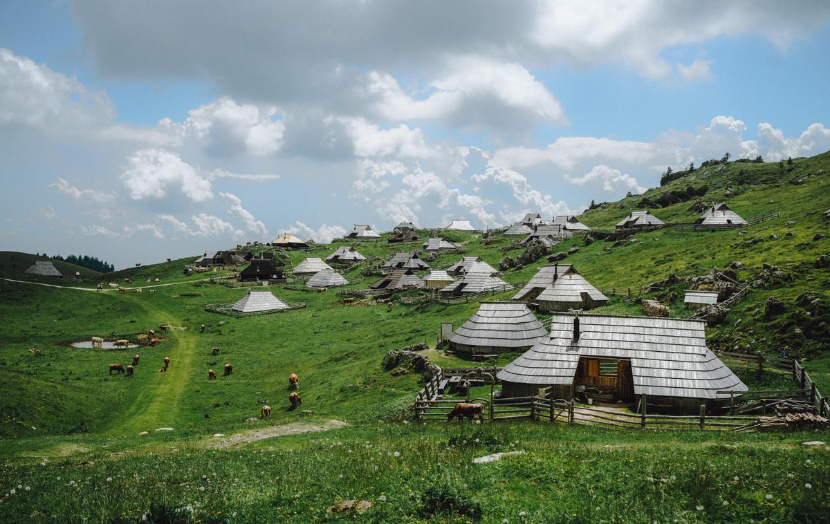 Viki Lešnjak Velika planina | Foto Jan Lukanović