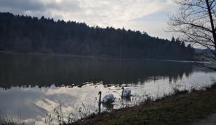 Je eno bolj priljubljenih slovenskih jezer res tako zelo onesnaženo?