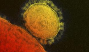 Smrtonosni virus se z Bližnjega vzhoda širi v ZDA