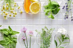 Aromaterapija: dišave in zelišča v vrtu, ki pomirjajo