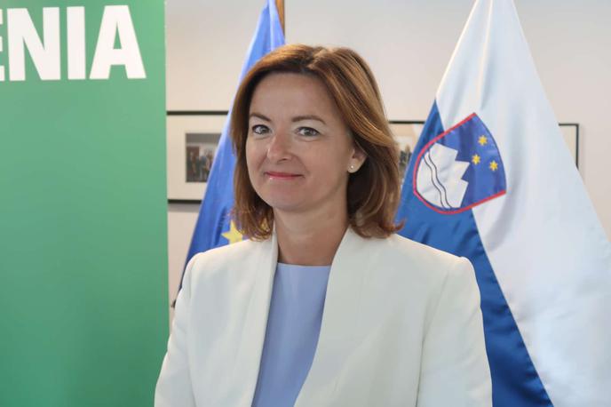 Tanja Fajon | "Srečanja so lepa priložnost, da pred glasovanjem o slovenski kandidaturi za Varnostni svet ZN, ki bo 6. junija, še enkrat predstavim Slovenijo," je dejala Fajonova.   | Foto STA