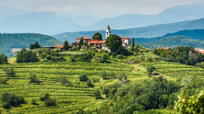 Pogled na znamenito vinorodno pokrajino Goriških Brd v Sloveniji. | Foto: Adobe Stock