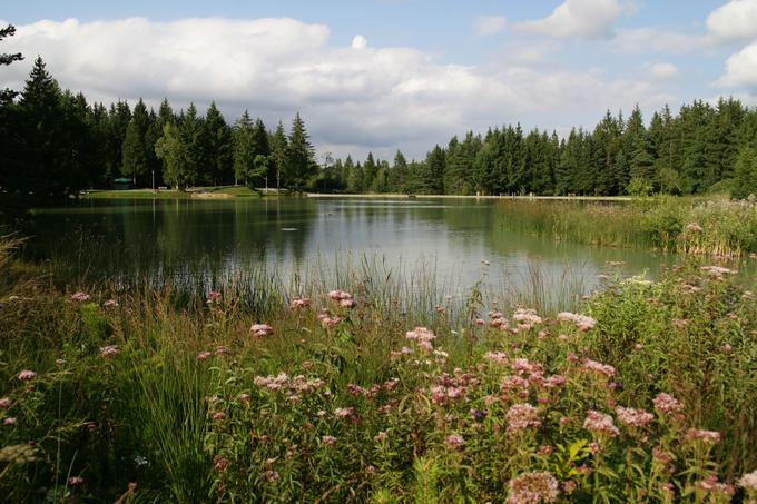 Bloško jezero | Foto: Tomaž Penko (www.slovenia.info)