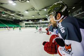 HDD Olimpija Bolzano liga EBEL