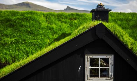 Zakaj zelena streha izboljša bivalne pogoje vašega doma