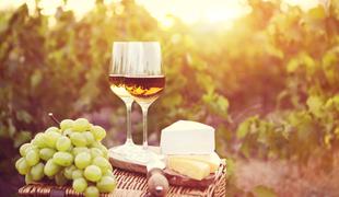 Pet zanimivih dejstev o vinu