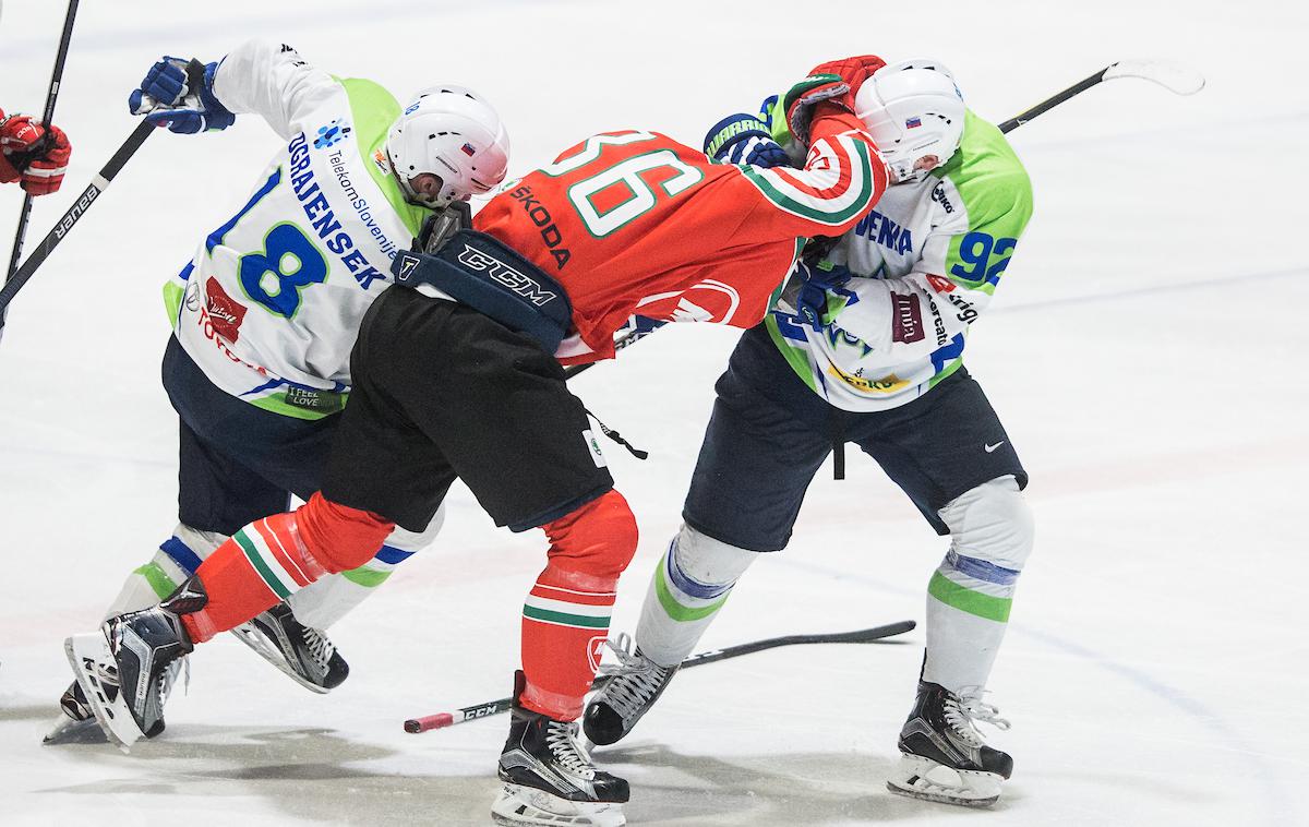 Slovenija Madžarska pripravljalna tekma hokej pretep | Foto Vid Ponikvar