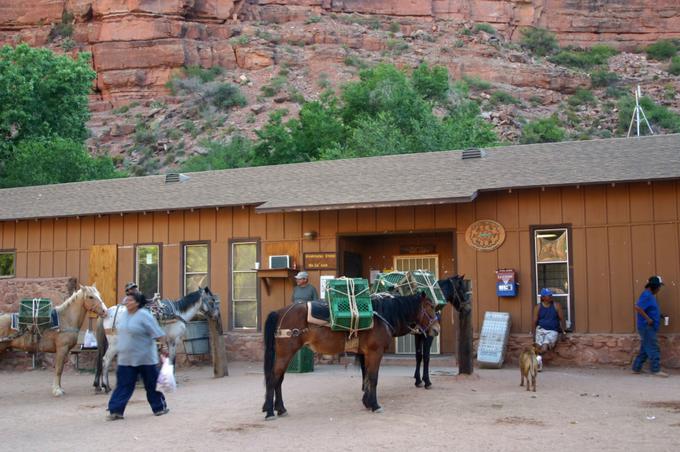 Supai je edini kraj v ZDA, kamor pošto dostavljajo mule.  | Foto: Thomas Hilmes/Wikimedia Commons