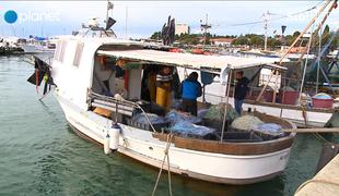 Hrvaški ribiči odgovarjajo: Nismo dobili slovenskih položnic