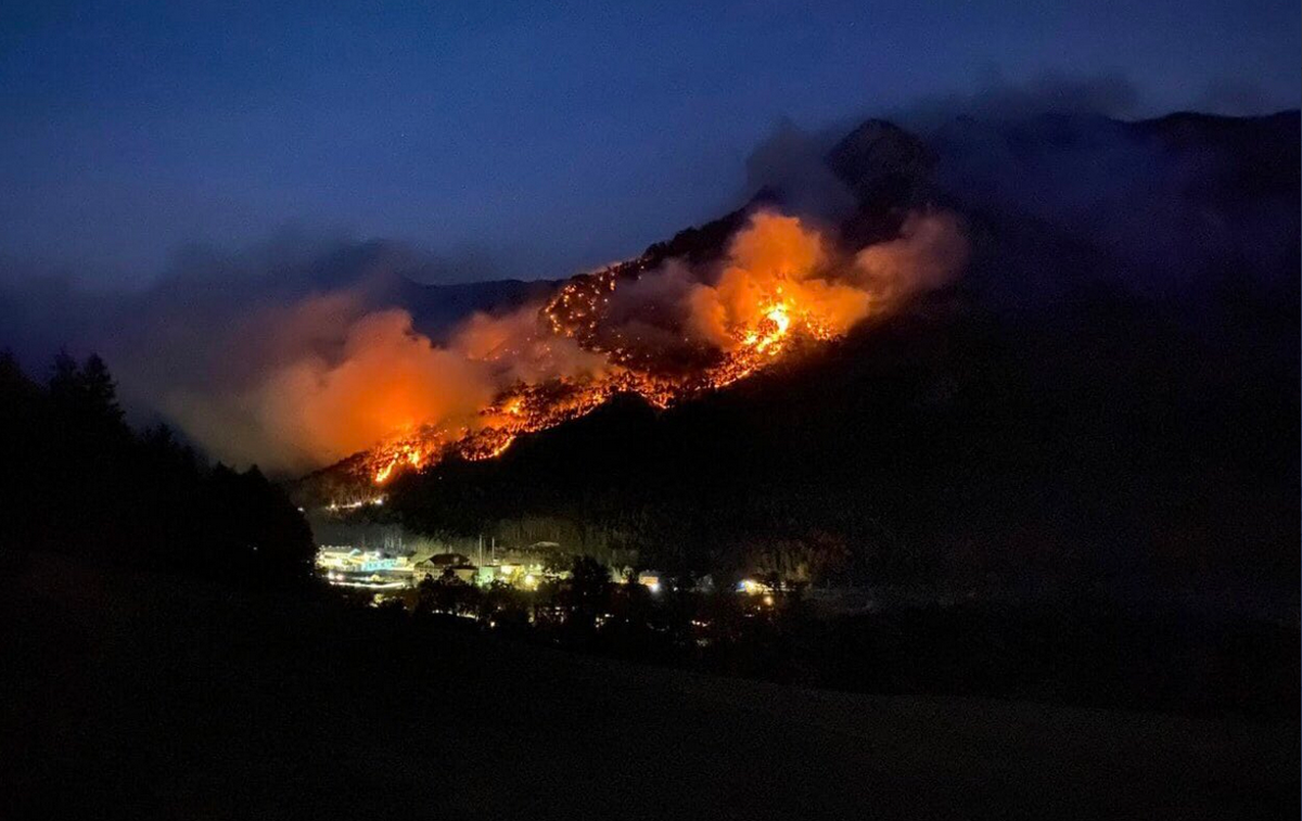 požar Austria | V akciji sodeluje približno 400 gasilcev, ki poskušajo preprečiti, da bi se ogenj razširil na gorovje Rax. | Foto Twitter