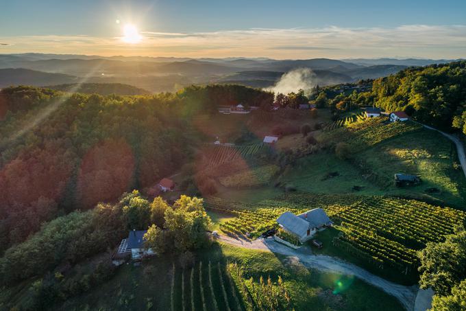 Slikovit pogled na legendarne zidanice. Foto: Društvo vinogradnikov Trška gora | Foto: 