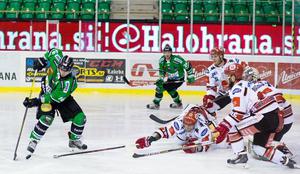 Olimpija ligo EBEL začenja doma - v Tivoli prihajata Chiodo in druščina