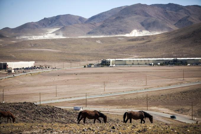 V Nevadi bo Musk z japonskim Panasonicom zgradil največjo tovarno litij-ionskih baterij na svetu. Tudi s pomočjo milijardne subvencije zvezne države Nevada. | Foto: Reuters
