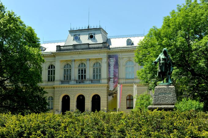 Direktor Narodnega muzeja Slovenije Pavel Car se je odločil, da odprtje razstave za danes zadrži. | Foto: STA ,