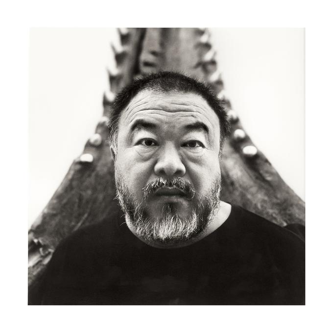 Na odprtju instalacije na Dunaju, ki je bila na svetovni turneji na ogled postavljena že v Kanadi, Združenih državah Amerike in Veliki Britaniji, bo prisoten tudi Ai Weiwei. | Foto: 