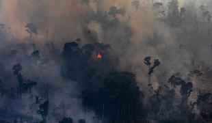 Amazonski pragozd še vedno gori, brazilski otroci že čutijo posledice #video