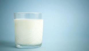 Slovenske kmetije lansko leto domačim mlekarnam prodale manj mleka