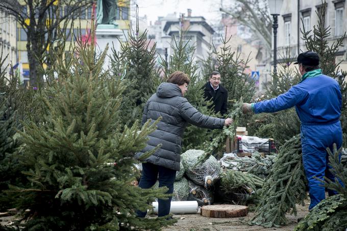 Včasih ni bilo namensko gojenih božičnih smrek, ampak zgolj prave gozdne. | Foto: Ana Kovač