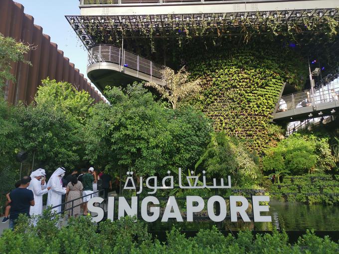 Singapurski paviljon na EXPO 2020 upodablja deževni pragozd | Foto: Srdjan Cvjetović