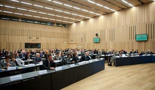 Mineva leto dni slovenskega članstva v OECD