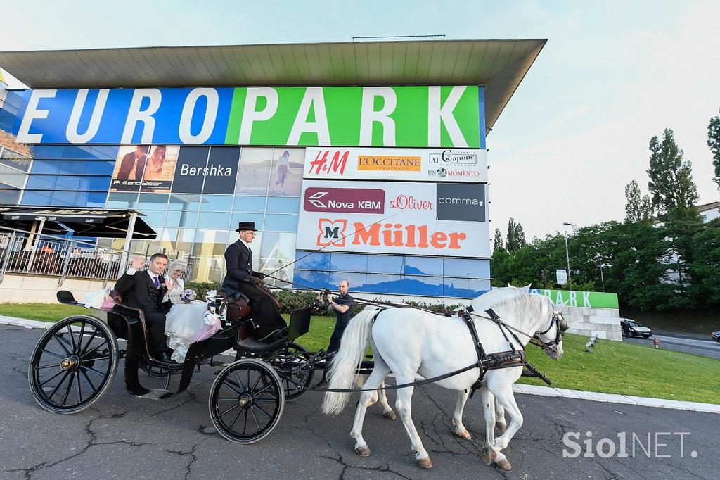 Sanjska poroka v Europarku