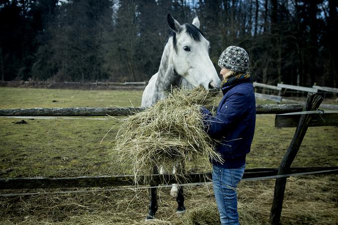 Pri konjih je vsak dan, večkrat na dan.  | Foto: Ana Kovač