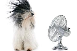 Koliko našo položnico za elektriko poleti zviša hlajenje z ventilatorjem?