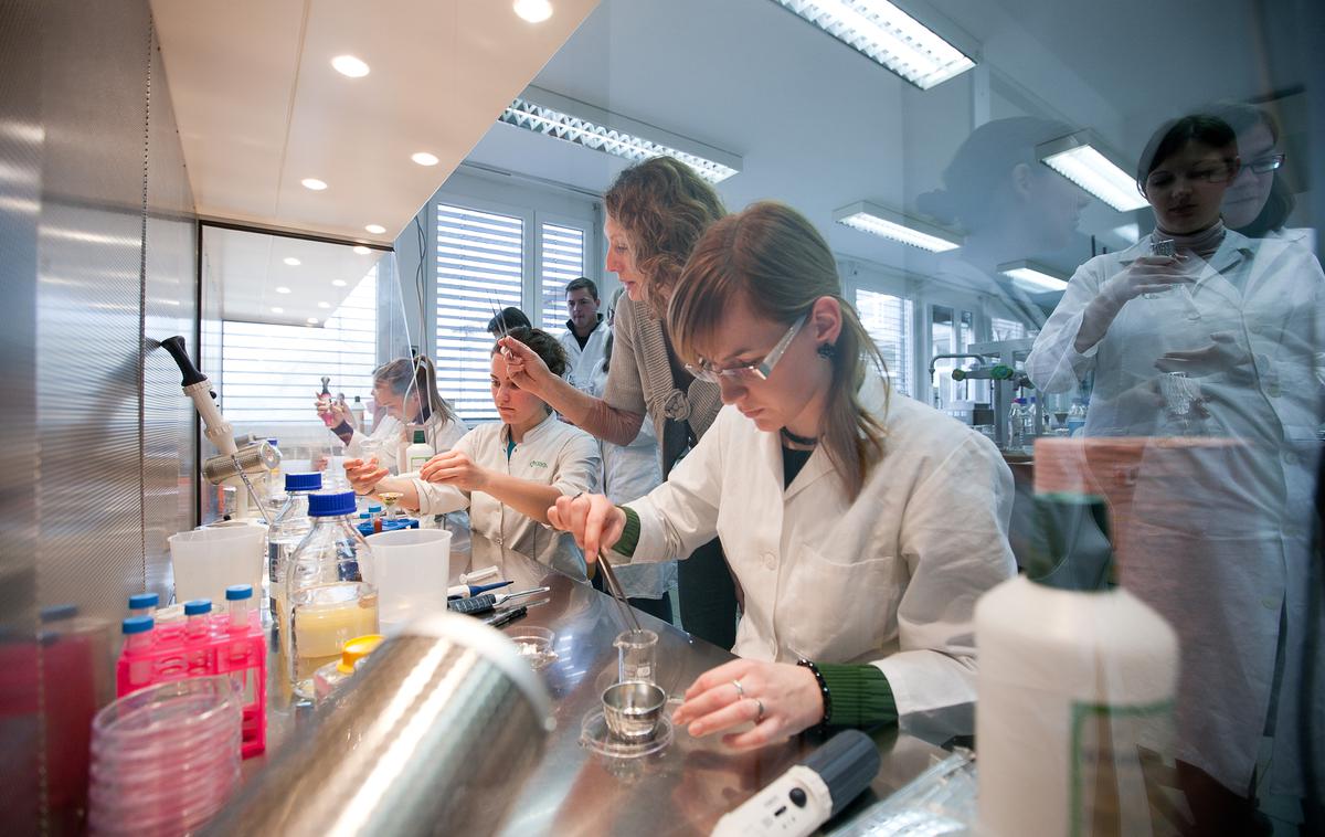 laboratorijske vaje študentov, Biotehniška fakulteta | Foto Biotehniška fakulteta