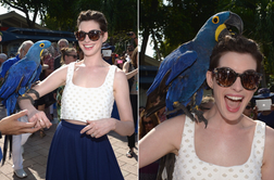 Anne Hathaway napadla velikanska papiga (foto)
