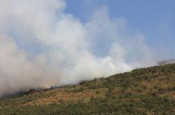 Na Sardiniji zaradi gozdnih požarov evakuirali dve naselji 