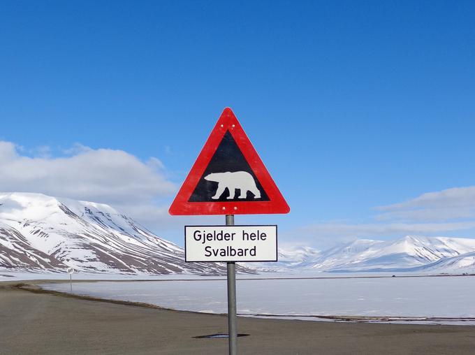 Oboroženi varnostniki semenske banke čez leto od zunaj ne varujejo, a to ne pomeni, da tam okrog ne patruljira nihče. Svalbardu ne rečejo zaman tudi Medvedje otočje, tam namreč živi več severnih medvedov kot ljudi. | Foto: Reuters
