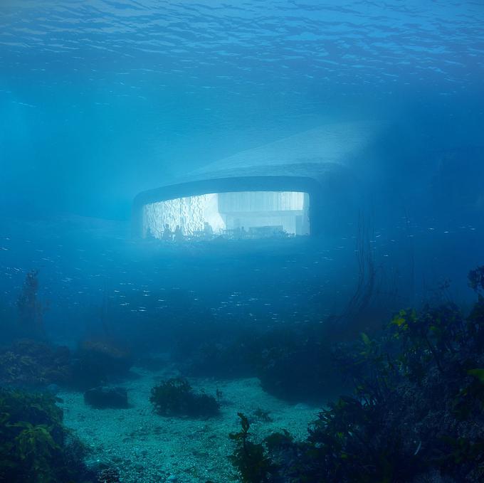 Under, podvodna restavracija, Norveška | Foto: Snøhetta