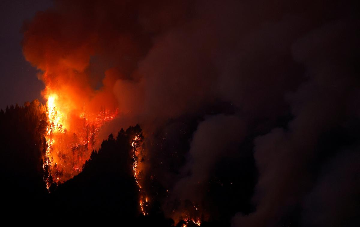 Tenerife | Vzrok požara, ki je izbruhnil v bližini majhnega mesta Arafo, ostaja nejasen.  | Foto Reuters